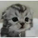 স্টিকার