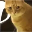 Stika