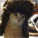 Stika