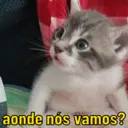 Stika