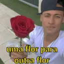 Stika