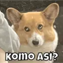 贴纸