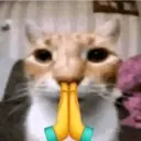 Samolepka