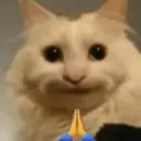 Samolepka