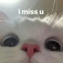 Samolepka