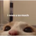 Samolepka