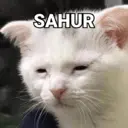Samolepka