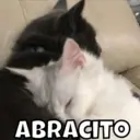Figurinha