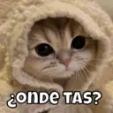 Figurinha
