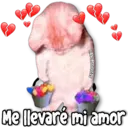 מדבקה