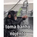 贴纸