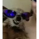 Կպչուն պիտակ