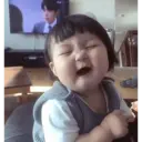 贴纸