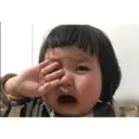 贴纸