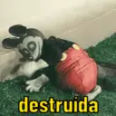 ملصق