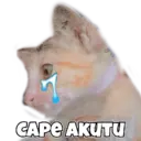 Límmiði
