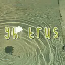 스티커