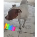 สติกเกอร์