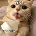 ملصق