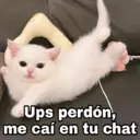ملصق