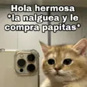 Figurinha