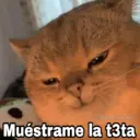 ملصق