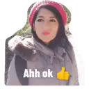 Stiker
