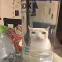 Naljepnica