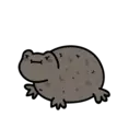 Կպչուն պիտակ