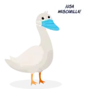 Límmiði