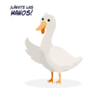 Límmiði