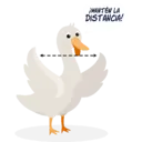 Límmiði