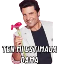 Stika