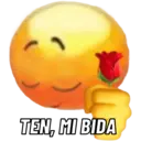 Stika
