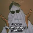 Stika