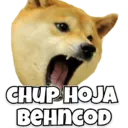 स्टिकर
