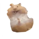 สติกเกอร์