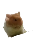 สติกเกอร์