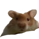 สติกเกอร์