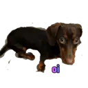 สติกเกอร์