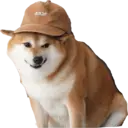 Samolepka