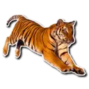 ស្ទីកเกอร์