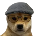 Стикер