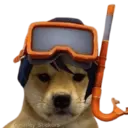 Стикер