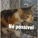 Ngjitës
