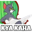 Stika