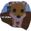 Կպչուն պիտակ