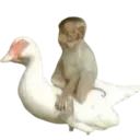 స్టికర్