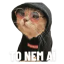 Stika