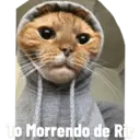 Stika